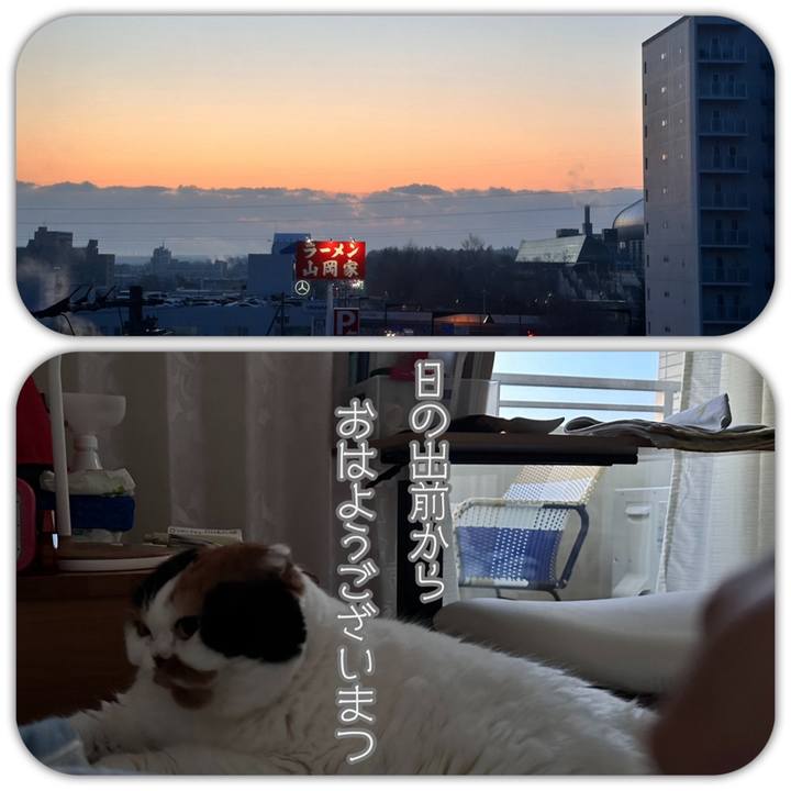 3c898c21 791d 40c8 a206 cccaf03e66fd 1701812654009