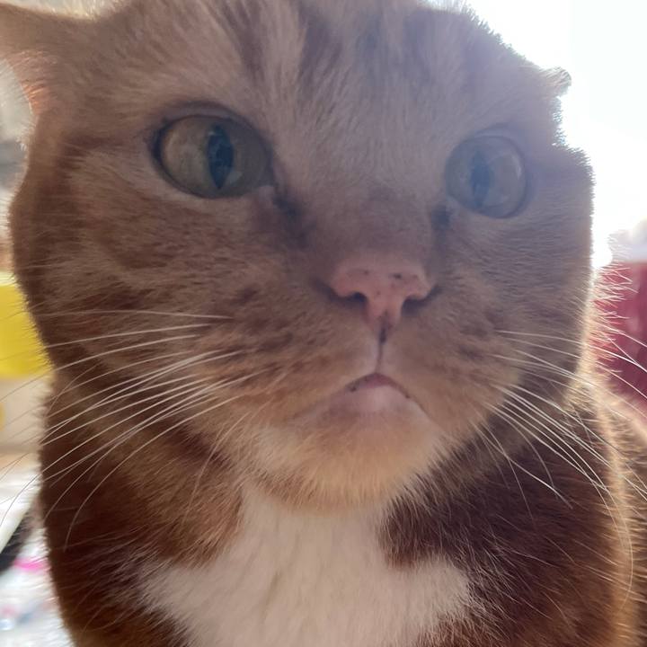 3c89aea3 e0d2 4ac5 a5ca 4f86f7e0662b 1639278303708