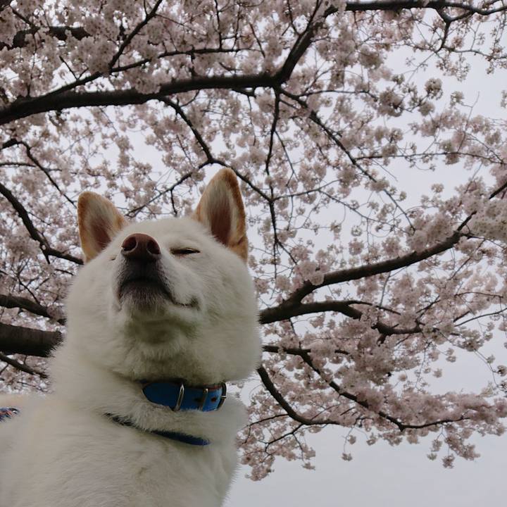 3c89b47c f52a 4577 8f9b ef3692e25c98 1585893874417