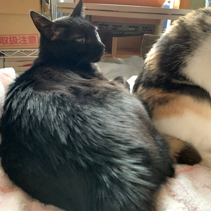 3c89ba89 ddc4 4640 93a3 c325bd866608 1593566840954