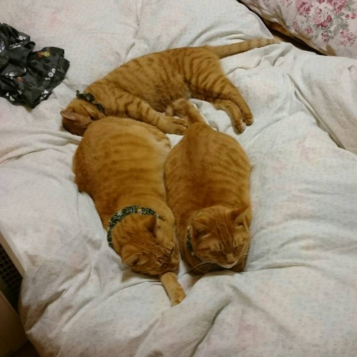 3c89ba99 2f6f 42af 98bb c3345650a461 1569111462884