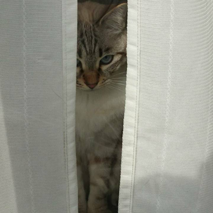 3c8a289e dc24 4eca 80b9 c71d30ef8274 1510640752311