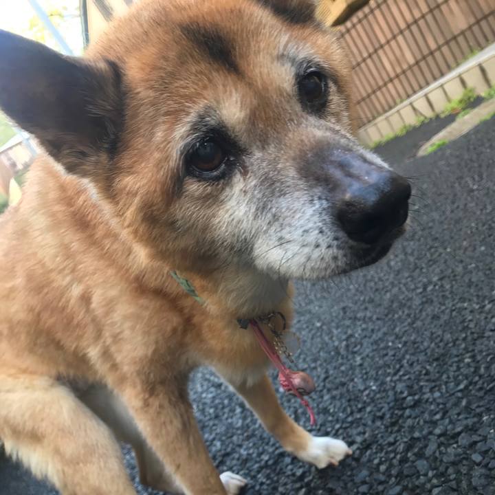 3c8a3516 502b 47cc ba8a 2fe07754a3fd 1555250385961