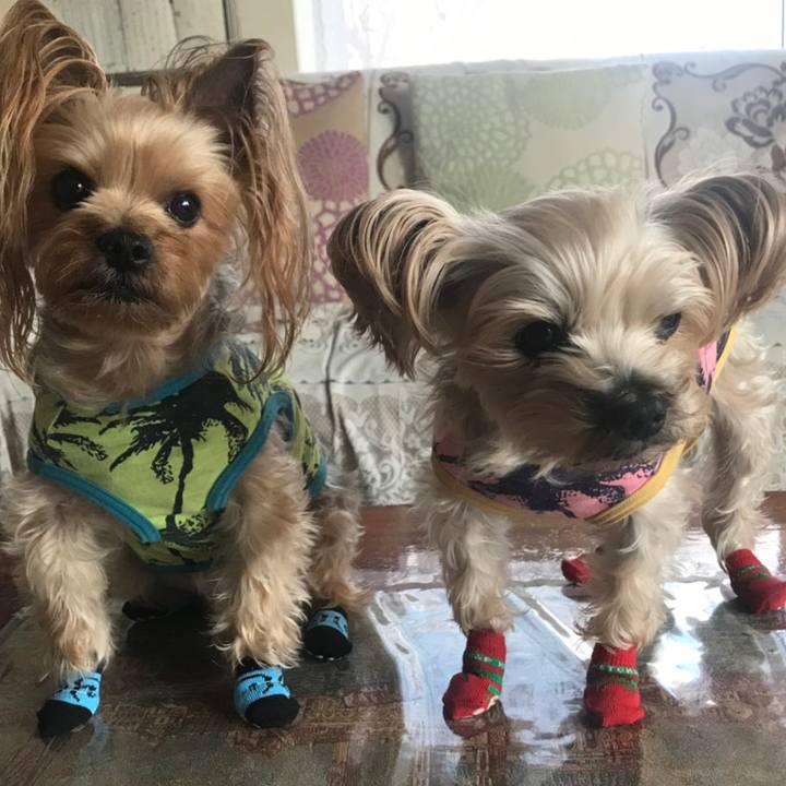 3c8a38c8 7b68 4167 8cf5 64fbb507f5db 1553680658591