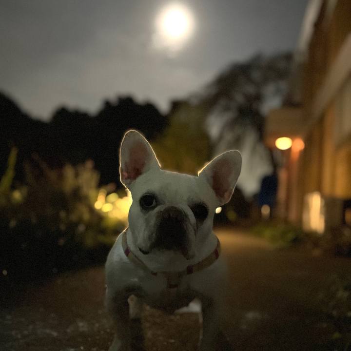 3c8ac134 4757 423e 9012 a2d19fb703d8 1729160343249