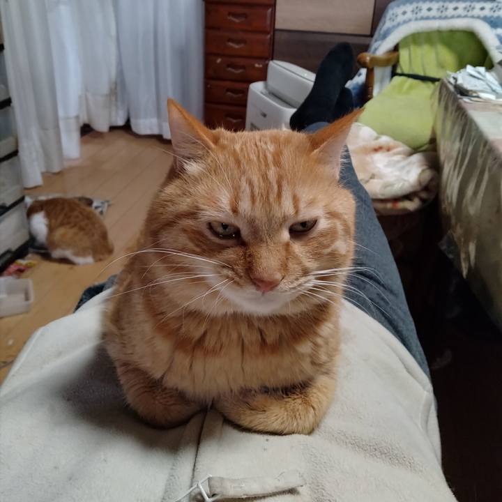 3c8ac8b5 5df5 4fdf 96ea 1cc3574b65c1 1737185071383