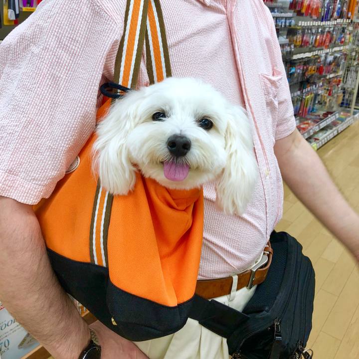 3c8b1c7d de84 4694 be9c 3a7d8cc1f636 1567316778342