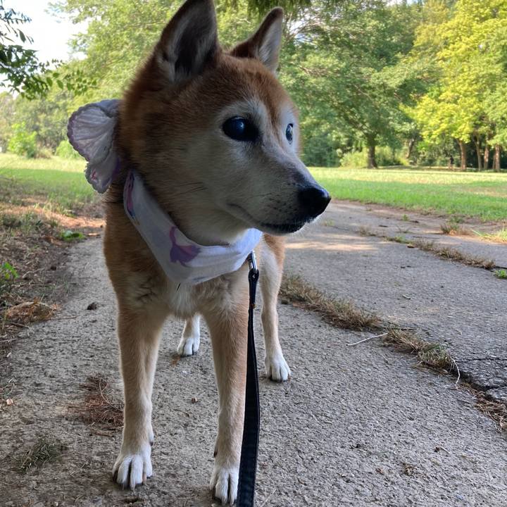 3c8b23cd ae19 462e ba66 bcccab2e0957 1756437184777