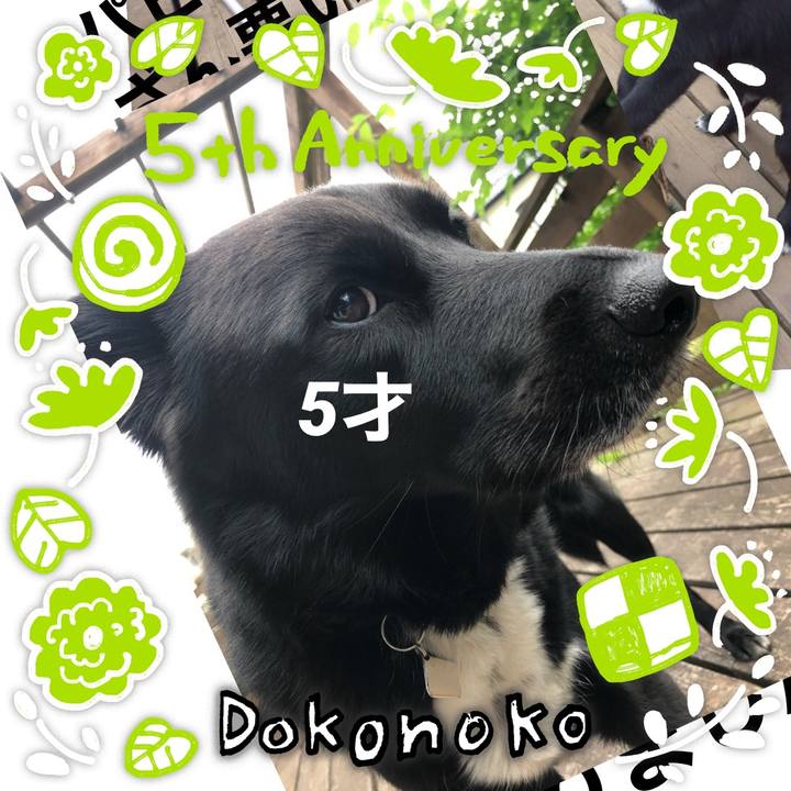 3c8b255f cbb2 463a 9c28 e980c443190e 1623024201520