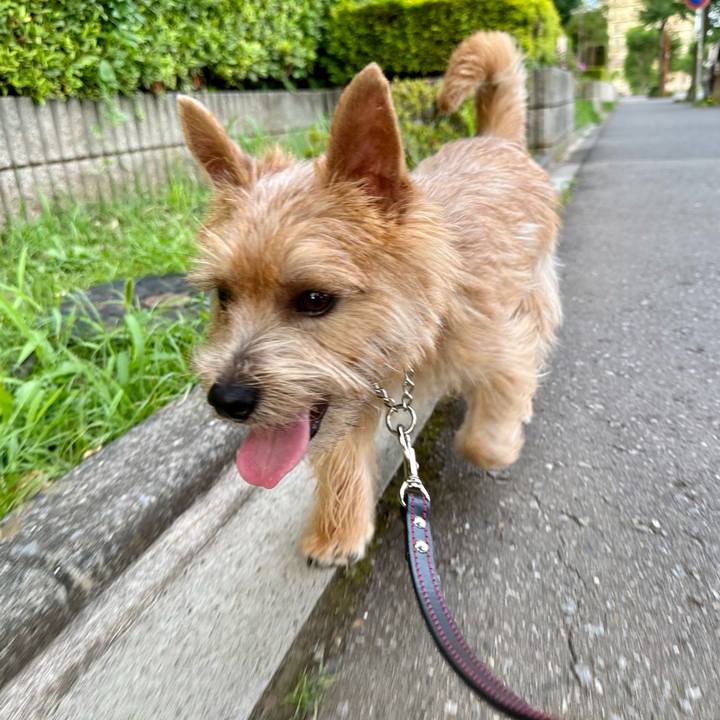 3c8b270b 56fd 4601 9f79 32975f64423b 1720123895127