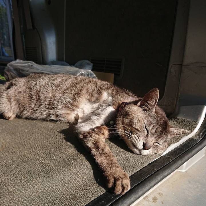 3c8b44f7 bffd 46bc 98d8 18179889ea51 1591480063717