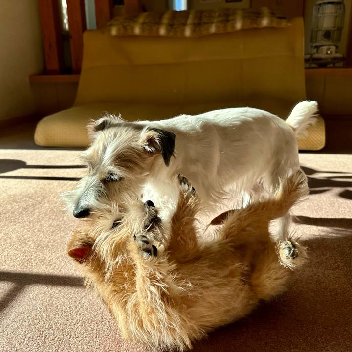 3c8b4749 6148 4084 b281 b881b10d485c 1703774280621