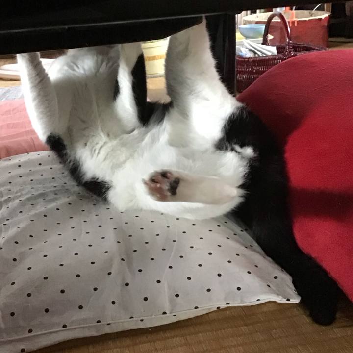 3c8b8dc6 47d2 4779 8c57 ff06ace038c1 1688734023488