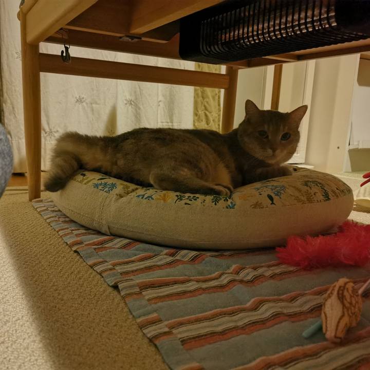 3c8b9287 51f7 48ac ad39 fffff45b7ca1 1625699513974