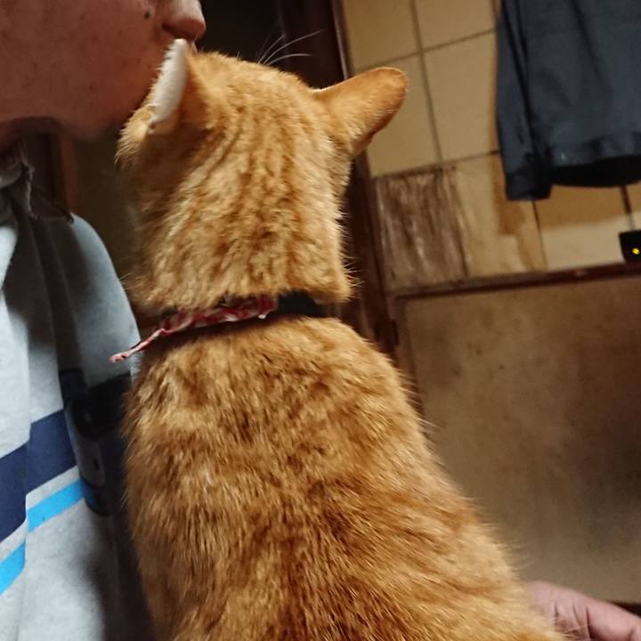 3c8bafc3 a55a 4a63 abd6 904d80e65b45 1604433006197