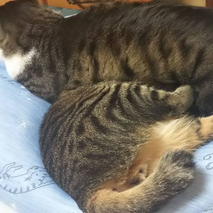 3c8bb1d7 d513 4b0d bb96 83c6ee4626fd 1601535999149