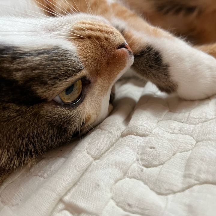 3c8bee1b 7286 40fa 9ac6 3c04f903fa4e 1660031544468