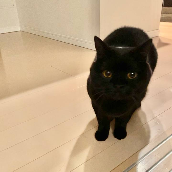 3c8c06a8 7718 449a 9a6f 713be71c163d 1671370902659