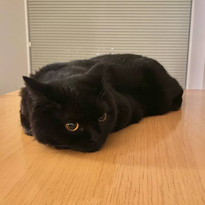 3c8c0c1b 15e7 4270 b073 12d773bf1793 1657457529257