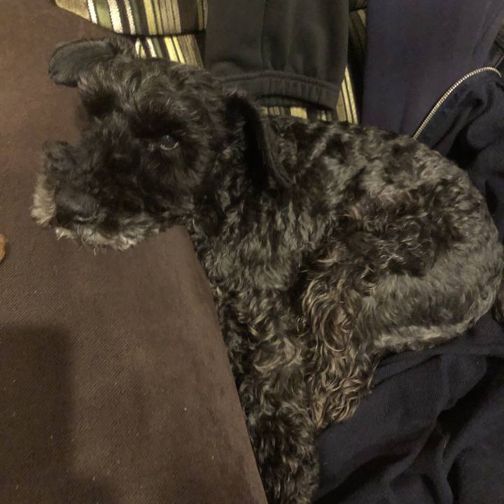 3c8c467f ad1a 473c 9f16 177dcf953615 1556635670029