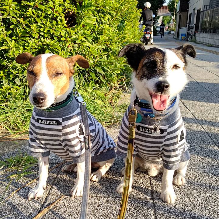 3c8c72ae c41f 46b0 9518 2047e0ac6aff 1690146926443