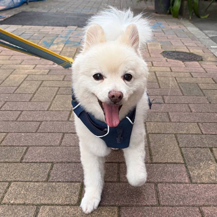 3c8c9c11 2ef4 4be1 8413 456440b15d94 1787350407831