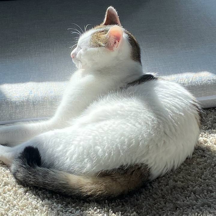 3c8cb1ab 6363 4ede 9802 4956f77f59fc 1605567317557