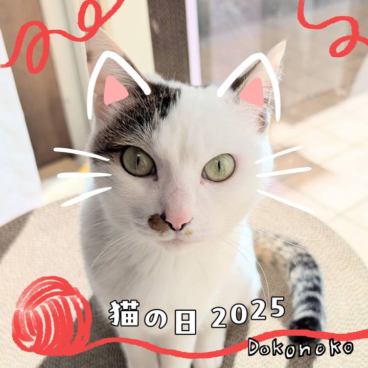 3c8ccb80 de1a 4c79 aa56 ae40281eaed0 1740112603998