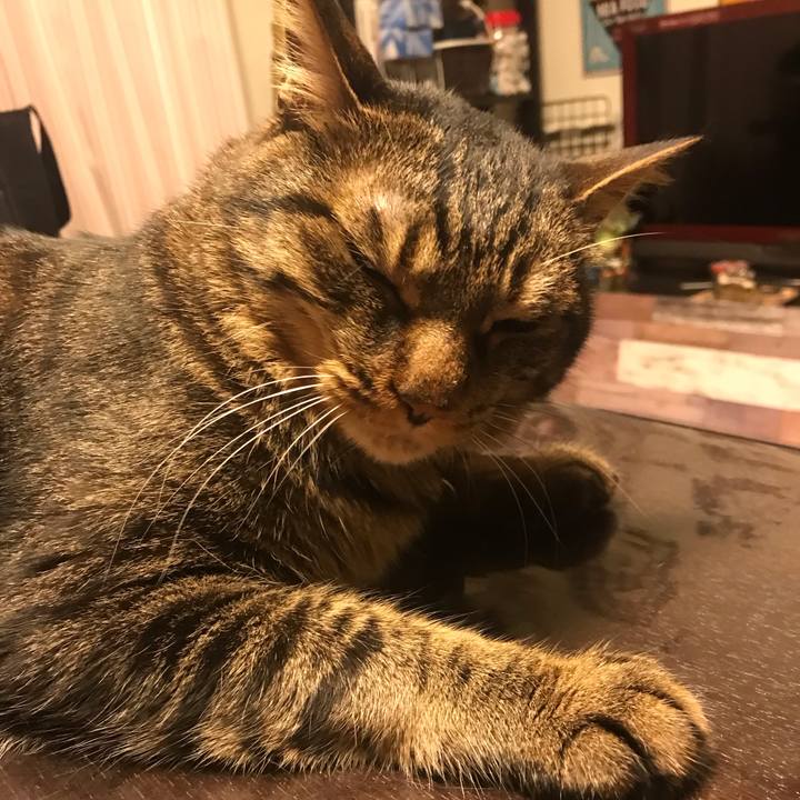 3c8d2002 1600 4648 a36d f6759d3cdad6 1625241570230