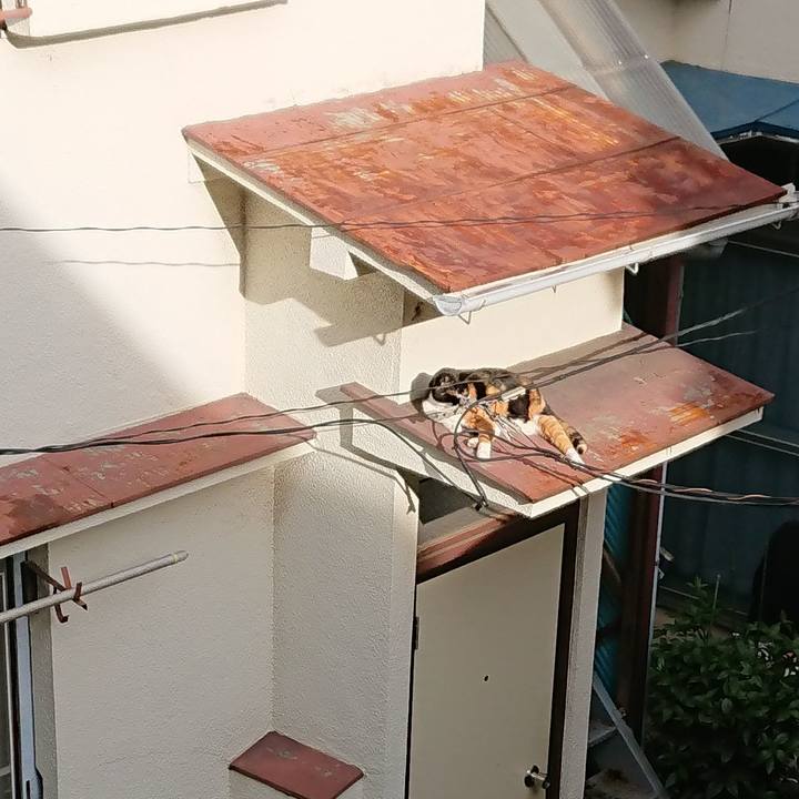 3c8d2365 da47 452f afeb 51dd46c63c5f 1572049268244