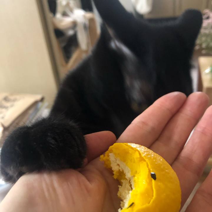 3c8d3b48 41bb 43dc bdc5 99b6b53b789b 1656247817130