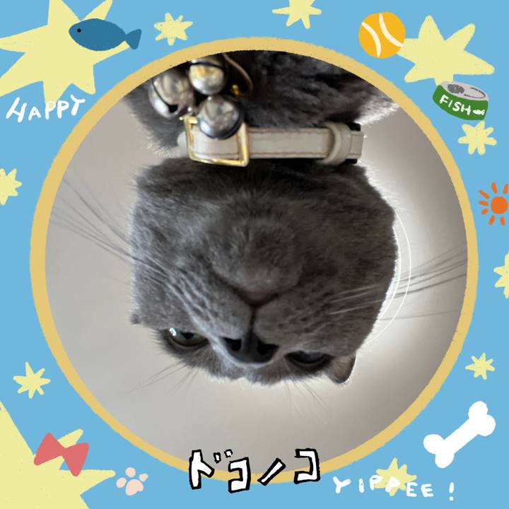 3c8d40b7 a5fa 41e0 b93f 27788baa6045 1721007227263