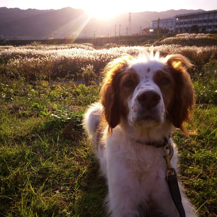 3c8d84b7 9385 42e8 acd7 3143431a7a42 1510791028929