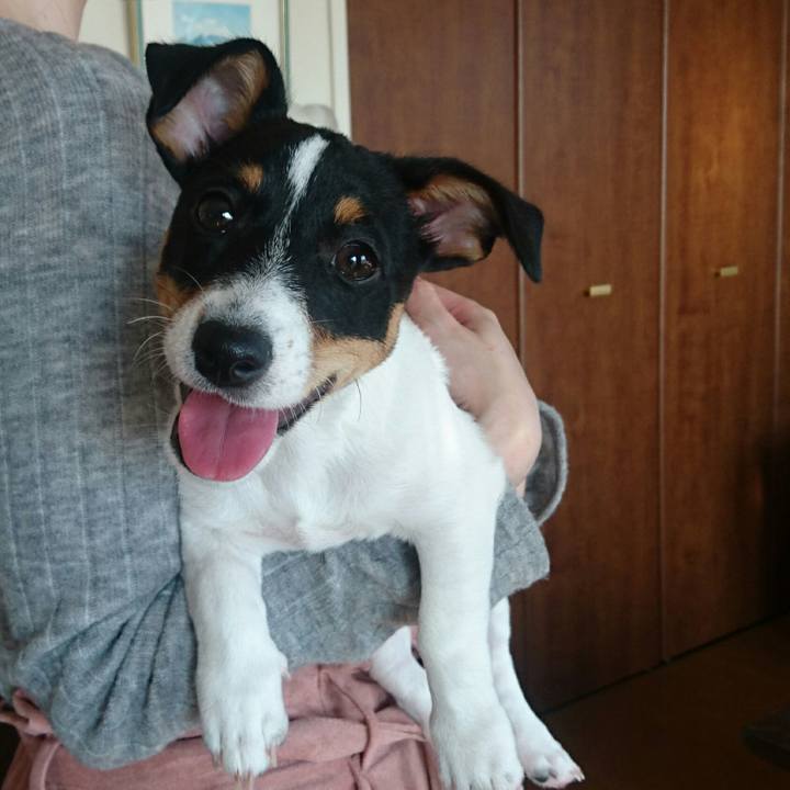 3c8d9e25 9449 4821 b573 34353df359e7 1512189343187