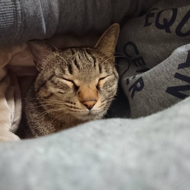 3c8db6f6 5acb 4fe2 8743 5b67eadab157 1519820118307