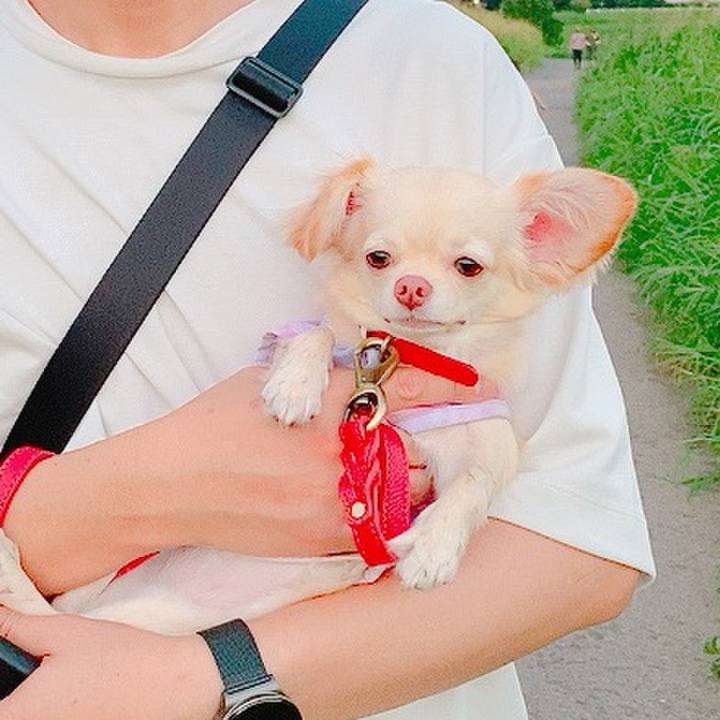 3c8de9ac e07a 4bca ab4e e4b978a233c9 1630058122436