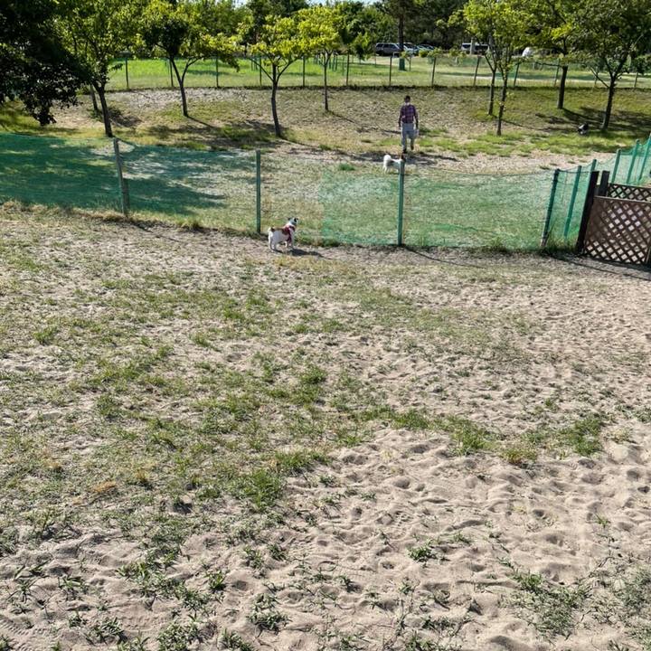 3c8df978 f34e 484a a5e5 d779fadfb0ad 1654437366087