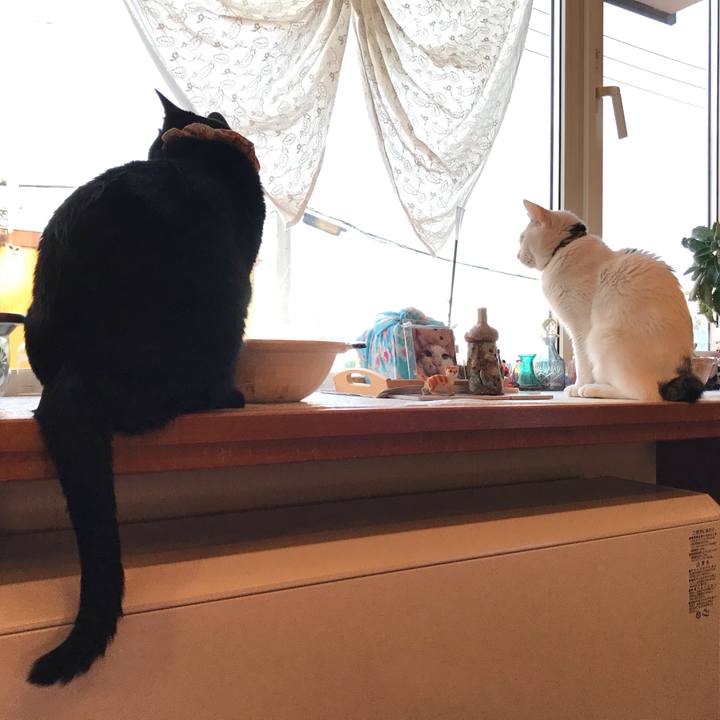 3c8e1fd6 8dc6 469c a2ab 514e1dffcb78 1639347678522