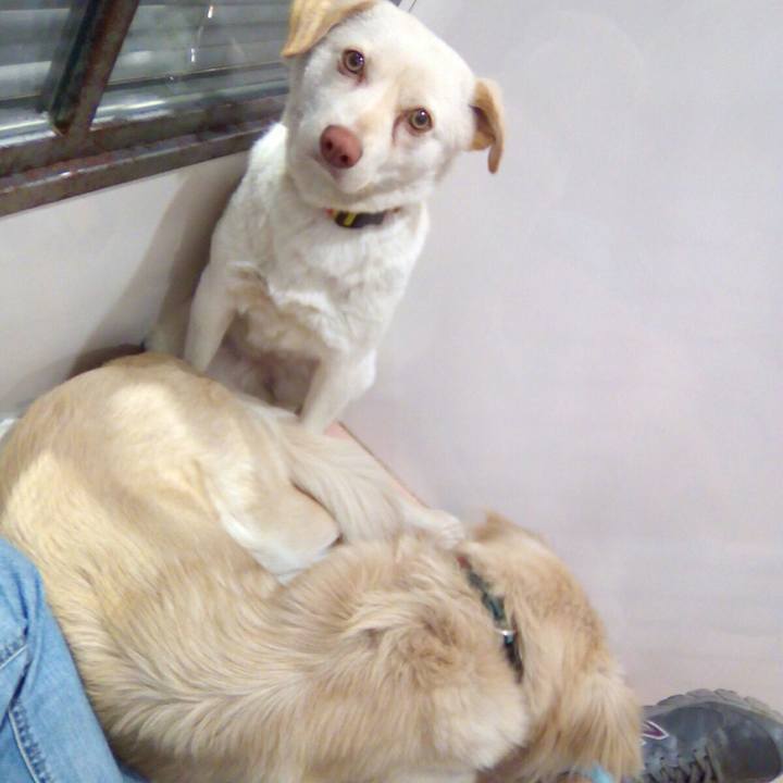 3c8e2b7b 39aa 48d5 bdd7 f87ff68011a9 1520168483203