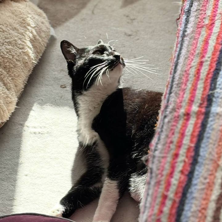 3c8e3897 ef6f 42ce a91a ccd37be757bb 1765415299416