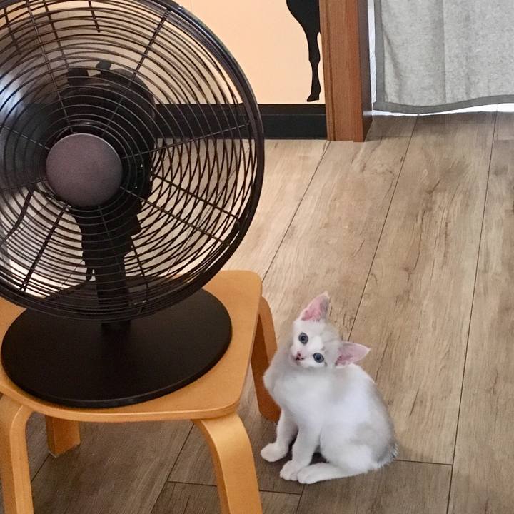 3c8e53f9 0aed 4ed1 b6b5 4cf79b17654d 1531699760877