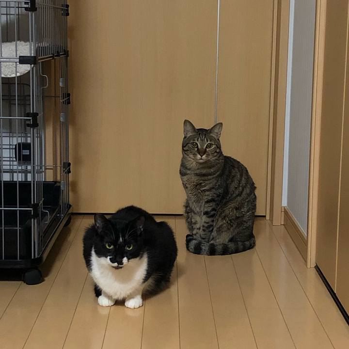 3c8e746b 93ae 4c4a ad3a 5da88c5f9c86 1551198567389