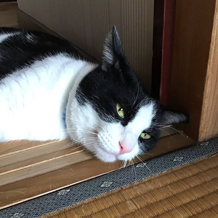 3c8e9bd1 5f03 411b a0cd d82569a3e15e 1723459344853