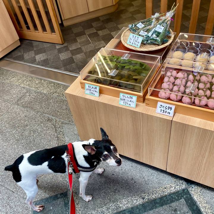 3c8ea360 9077 48fa 87fe 8df7485df800 1588640502702