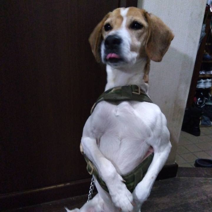 3c8ed5a9 bd1a 4e92 8511 36f973e68968 1678022383670