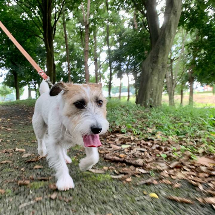 3c8ed96d b356 4a56 94f1 647352bc983a 1662726355170