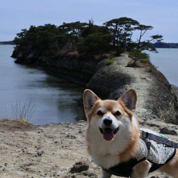 3c8f002a 753a 45f2 b551 3cba5fd228a7 1775478249842