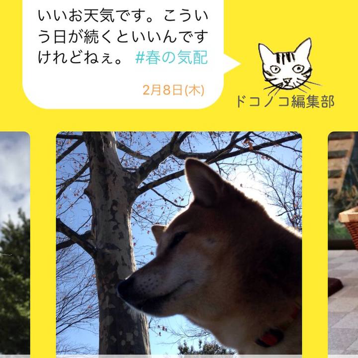 3c8f180e 45c0 49d0 8a44 4a729add4fed 1518069757139