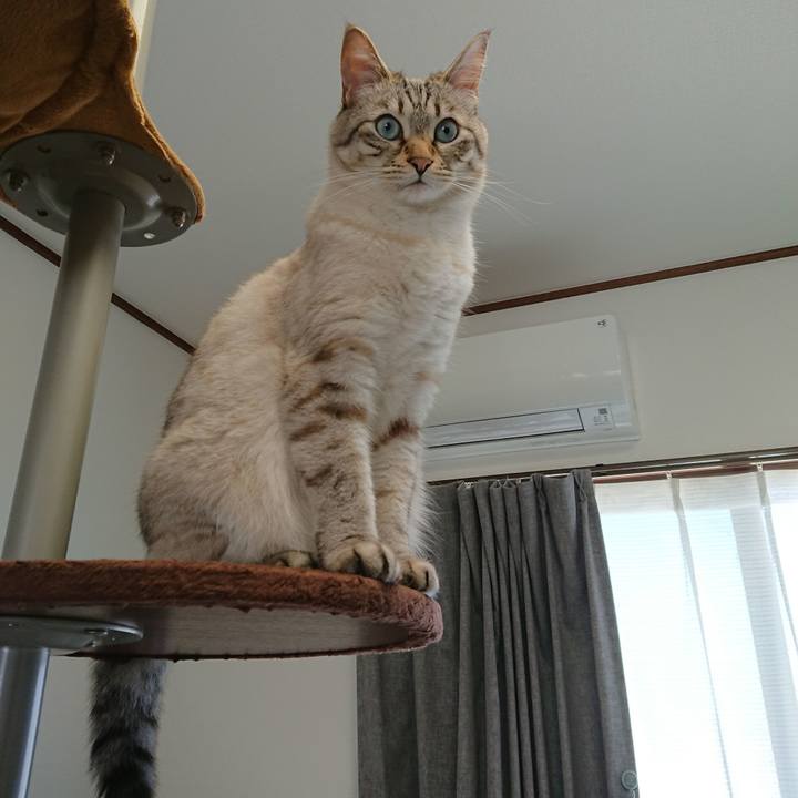 3c8f3bb3 7244 4db5 8b24 62d7633ec6bc 1560641711150