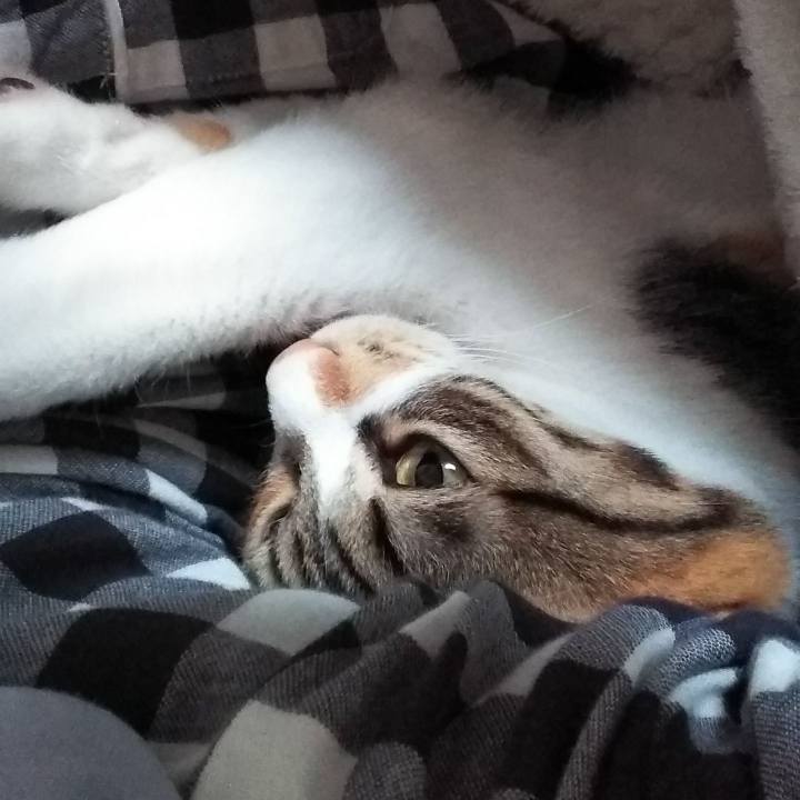 3c8f6307 c2f6 4820 949f 5a8033a9bc75 1676075098530